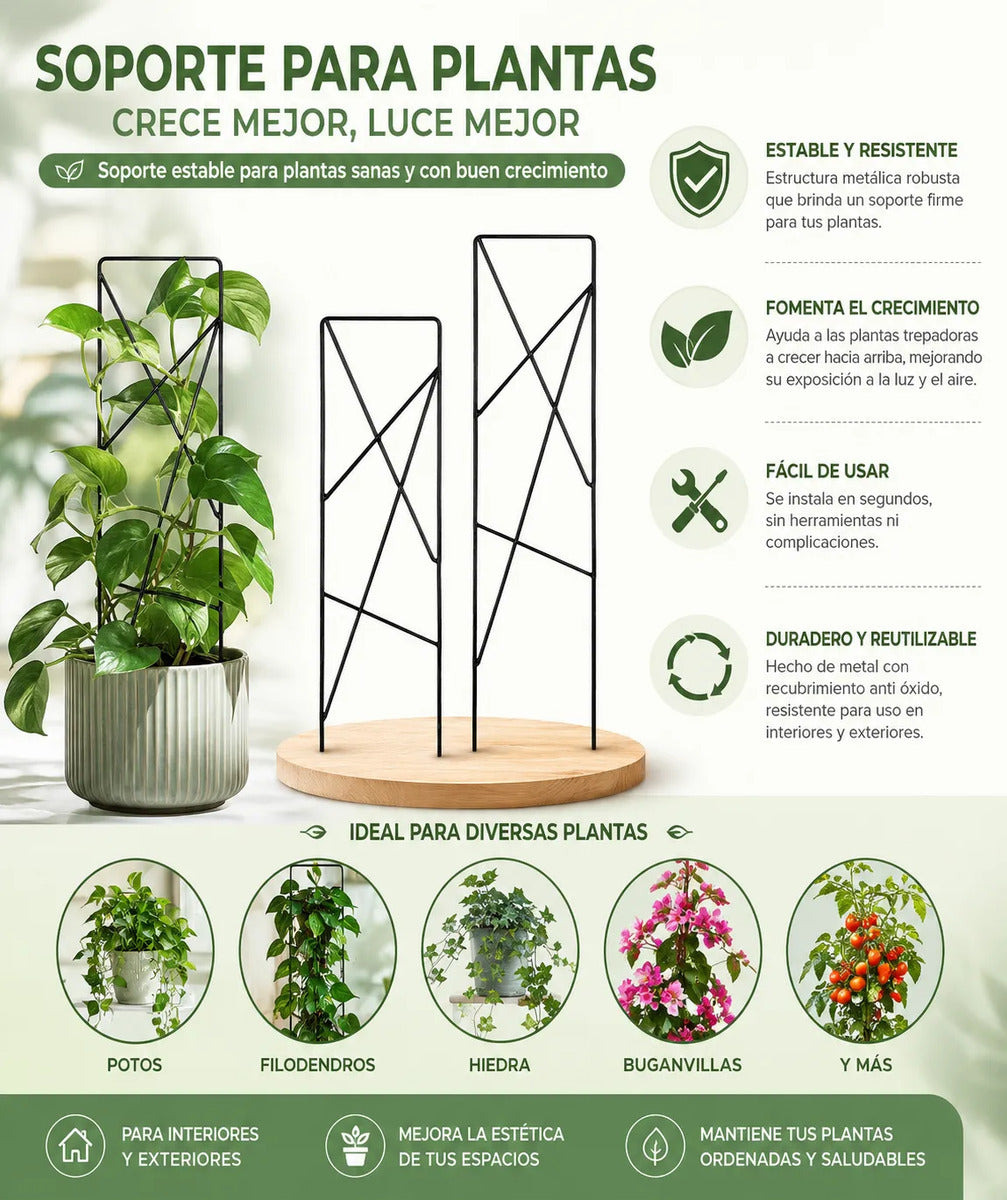 Soporte Para Plantas Trepadoras Metal Doble Pata Macetas 2p