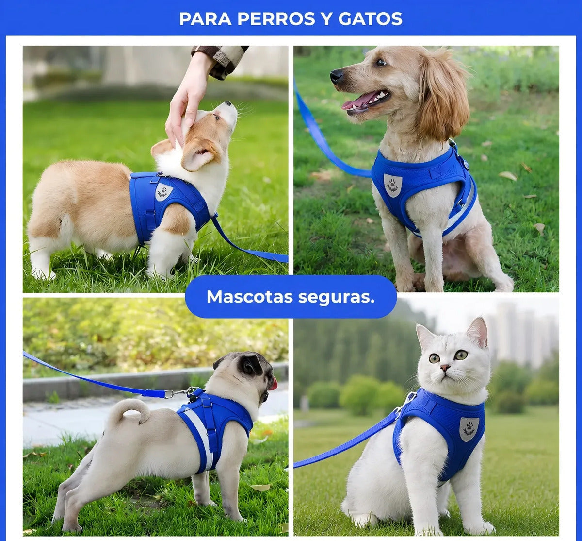 Arnés Reflectante Para Perros Pequeños Con Correa 1.2m