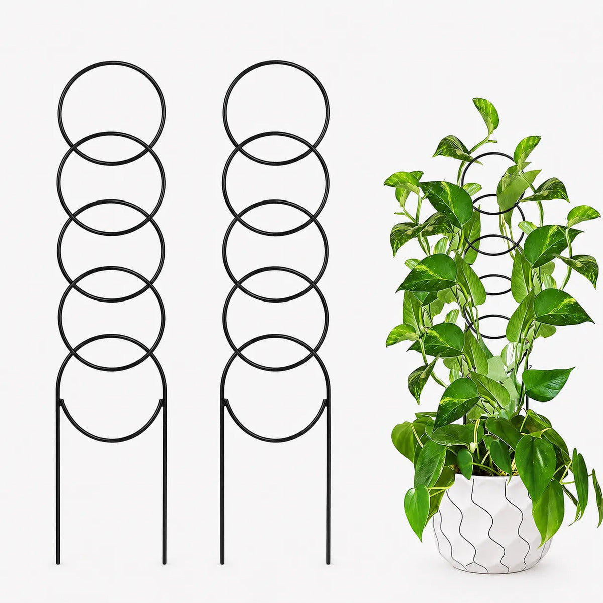 Soporte Para Plantas Trepadoras Metal Doble Pata Macetas 2p
