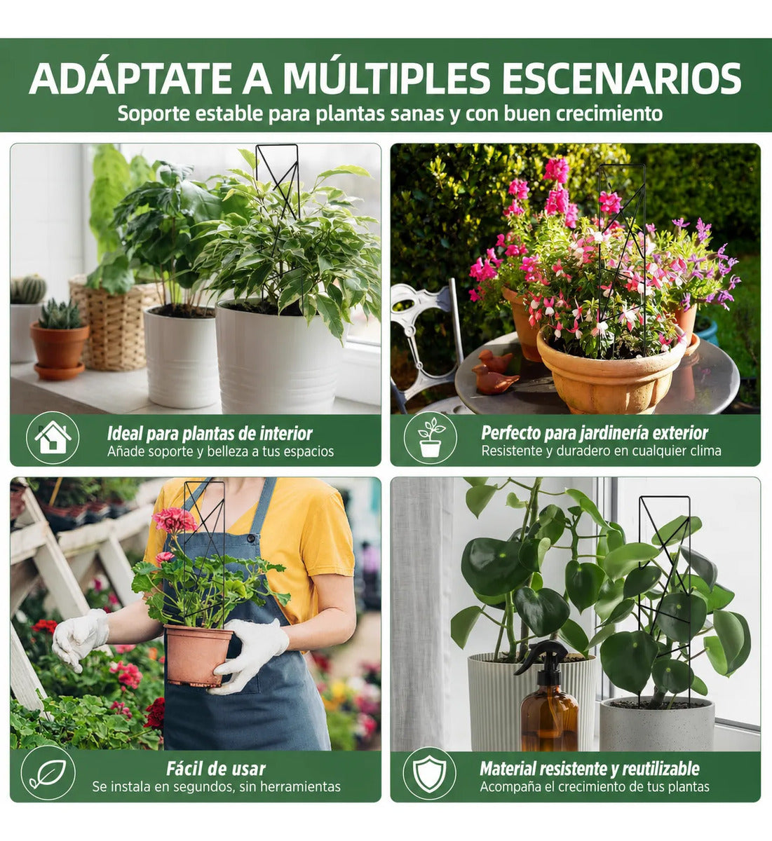 Soporte Para Plantas Trepadoras Metal Doble Pata Macetas 2p