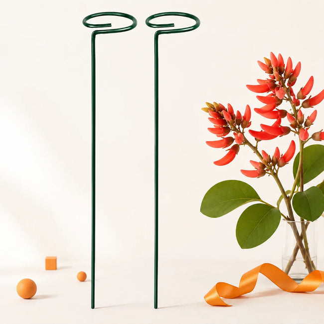 Tutor Soporte Para Plantas De Metal Con Aro Verde Pack X2