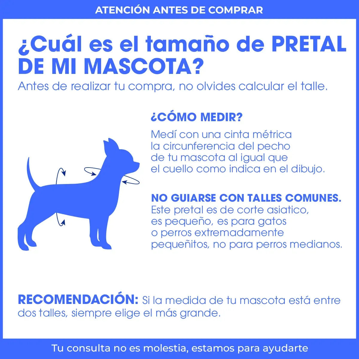 Arnés Reflectante Para Perros Pequeños Con Correa 1.2m