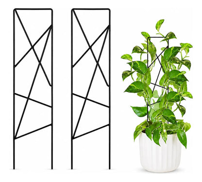 Soporte Para Plantas Trepadoras Metal Doble Pata Macetas 2p