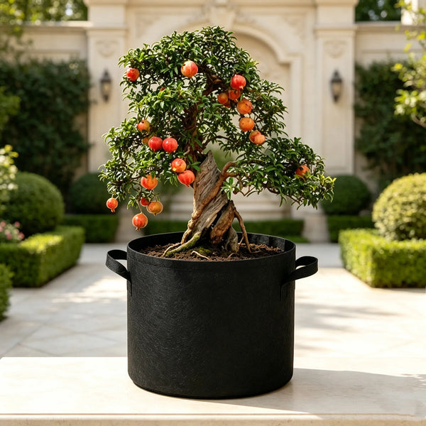 Bolsa Cultivo Tela Geotextil Para Plantas Jardín 74l 1 Unida