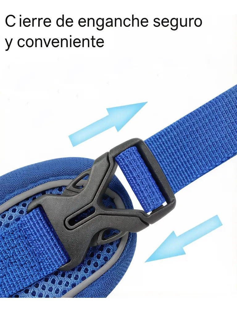 Arnés Reflectante Para Perros Pequeños Con Correa 1.2m