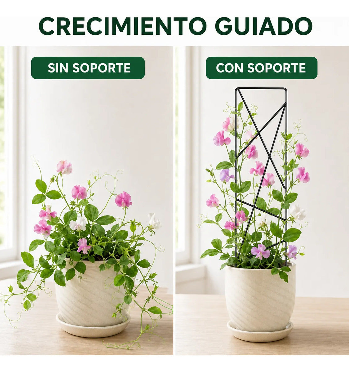 Soporte Para Plantas Trepadoras Metal Doble Pata Macetas 2p