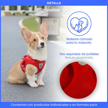 Arnés Reflectante Para Perros Pequeños Con Correa 1.2m