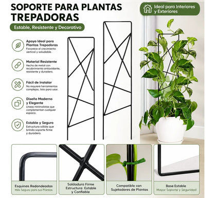 Soporte Para Plantas Trepadoras Metal Doble Pata Macetas 2p