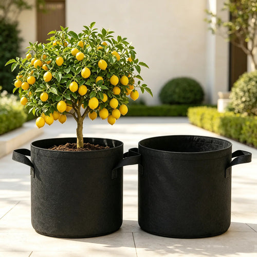 Bolsas De Cultivo 2 Unidades Impermeables Varios Tamaños